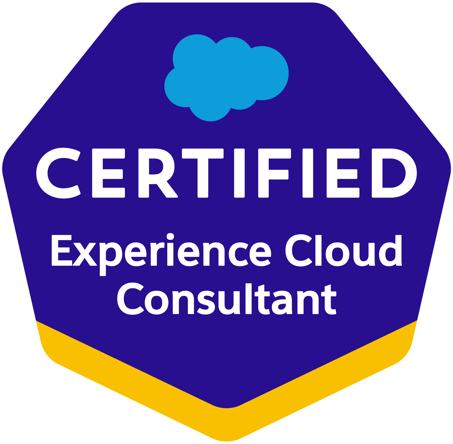 Community Cloud Consultant