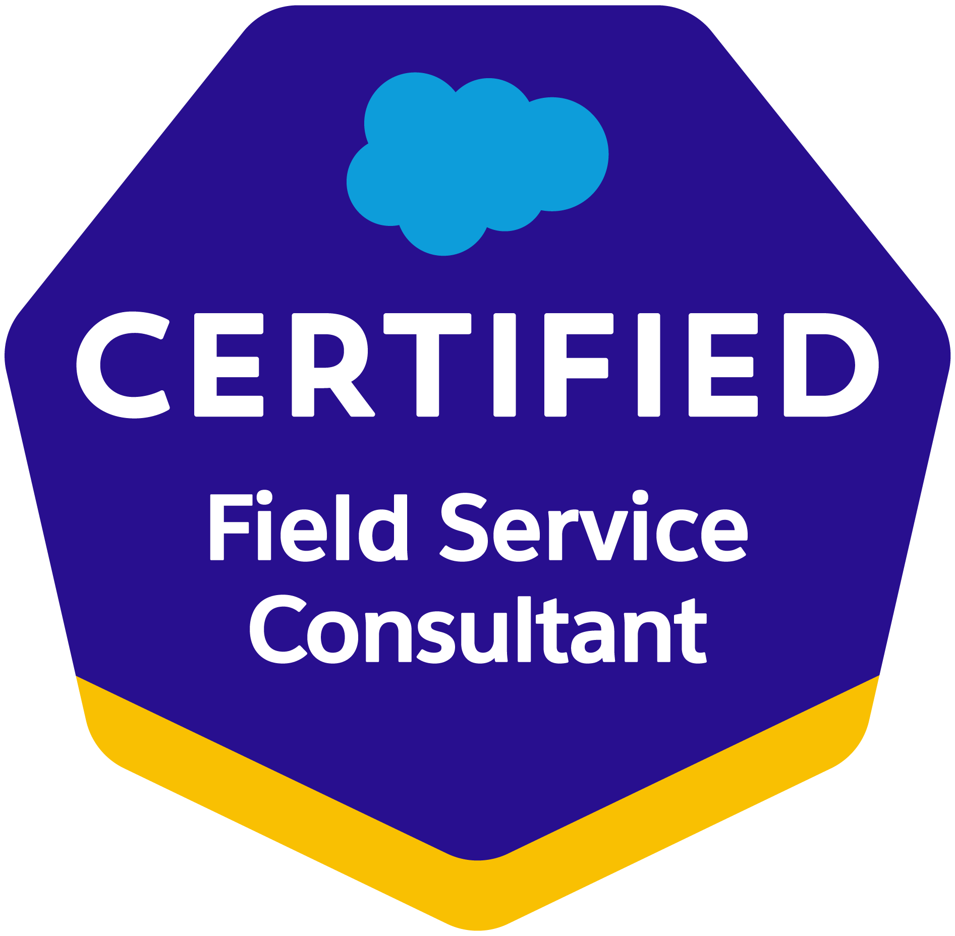 Field Service Lightning Consultant