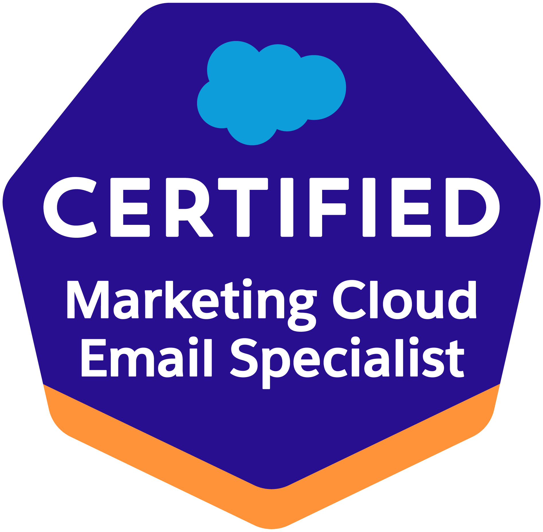 Marketing Cloud Email Specialist