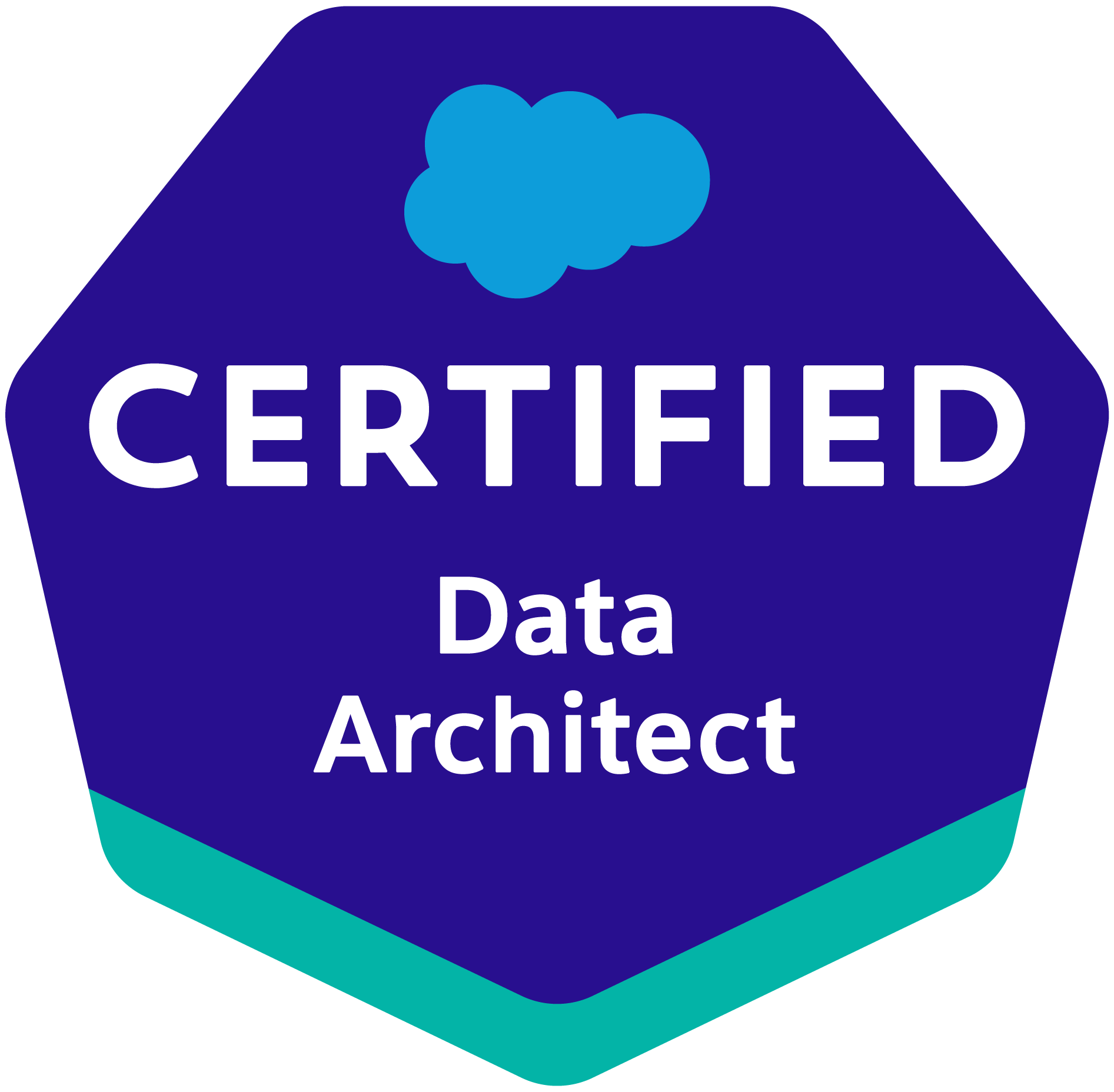 Salesforce Data Architecture and Management Designer