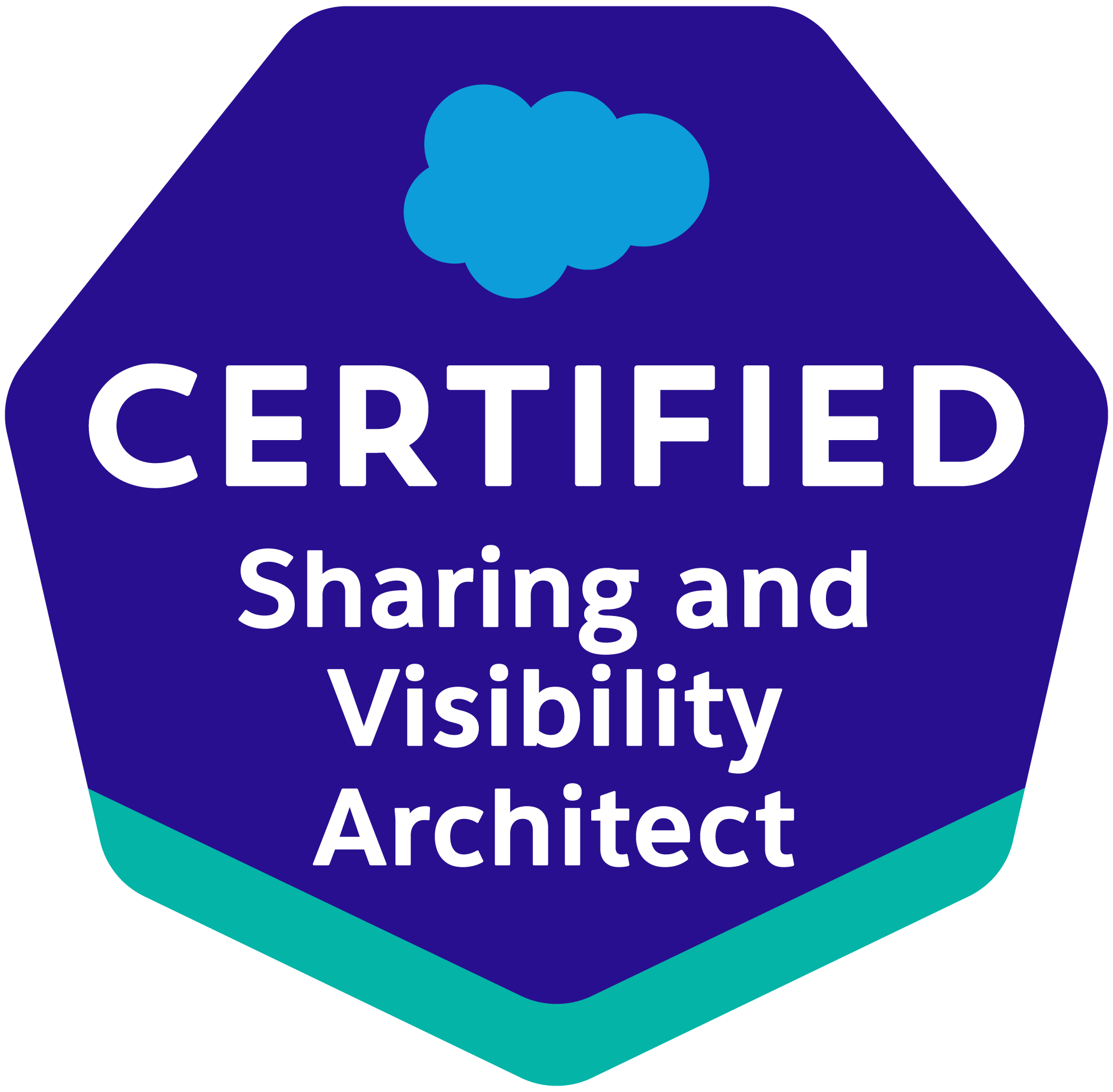 Salesforce Certified Sharing and Visibility Designer