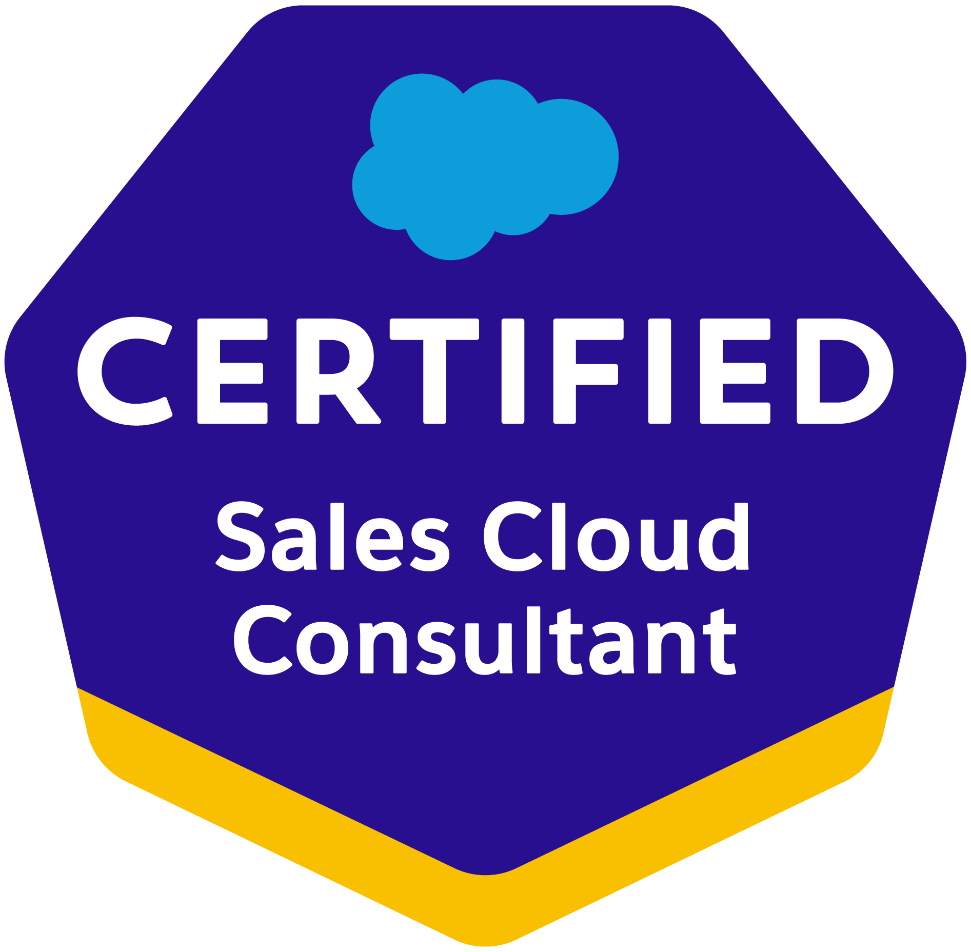 Salesforce Sales Cloud Consultant